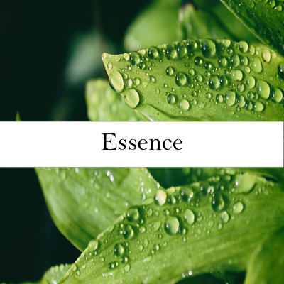Essence - Oils and more